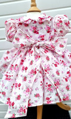 DREAM 0-8 years BABY GIRLS  traditional autumn cream pinks floral twirly dress